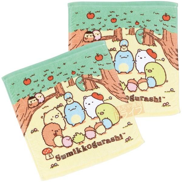 すみっコぐらし ウォッシュタオル 「みんなであそぼ」 お買得２枚セット 177062 メール便対応品