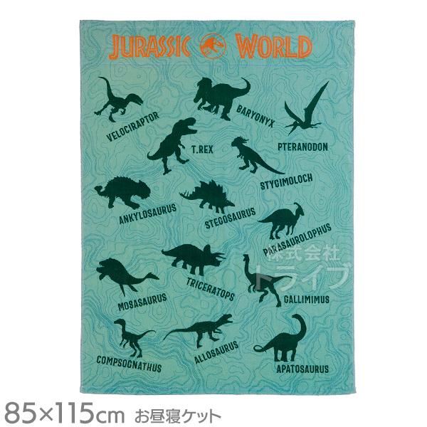 お昼寝ケット タオルケット ジュラシックワールド ダイナソーマップ 011483 ネコポス対応品
