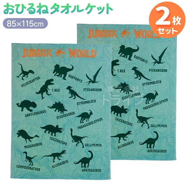 お昼寝 タオルケット お買得２枚セット ジュラシックワールド ダイナソーマップ  置配対応
