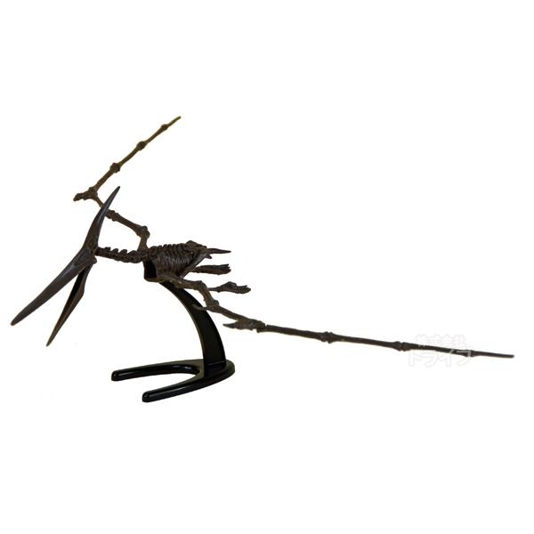 恐竜発掘セット プテラノドン 骨格模型 CL-124K 020065 ラッピング不可