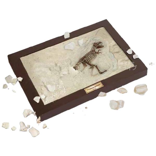 化石発掘プレート ティラノサウルス CL-145K 045105 ラッピング不可