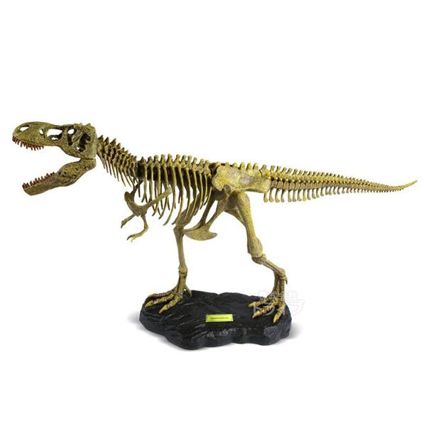 T-REX骨格組立キット ティラノサウルス・レックス CL-664K 085101 ラッピング不可