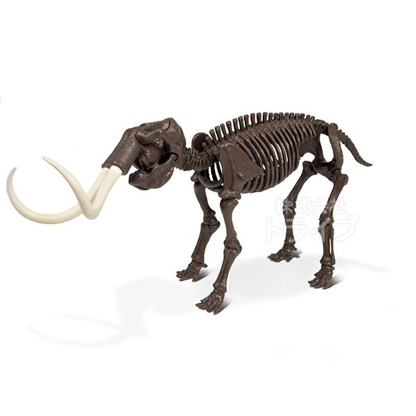 氷河期発掘セット マンモス CL-136K 骨格模型 ラッピング不可 020133