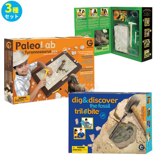 化石発掘3種セット 化石発掘プレート ティラノサウルス 頭蓋骨 三葉虫 発掘セット ラッピング不可