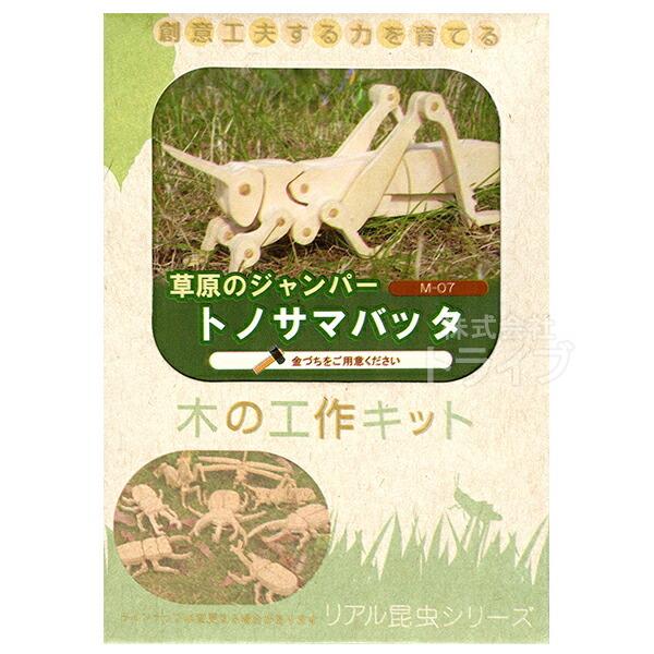 昆虫工作キット トノサマバッタ M-07 ラッピング不可 011575 ネコポス対応品