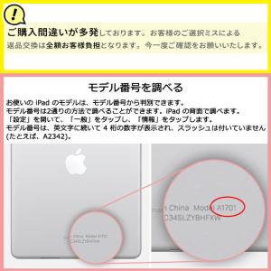 【AGC日本製ガラス】apple iPad m...の詳細画像3