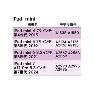 【AGC日本製ガラス】apple iPad m...の詳細画像4