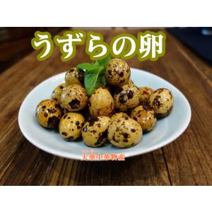 味付け卵 うずらの卵　鶉の卵  550ｇ　中華物産 　ウズラ卵　