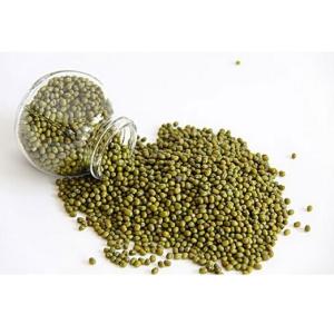 緑豆 リョクトウ  400ｇ　中国特選農作物穀物天�