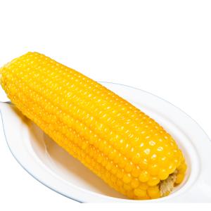 40本入 （静）真空 黄 糯 玉米 粘玉米  とうもろこし トウモロコシ