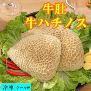 冷凍   牛肚  牛の胃袋 　約500g　蜂巣肚     トリッパ　