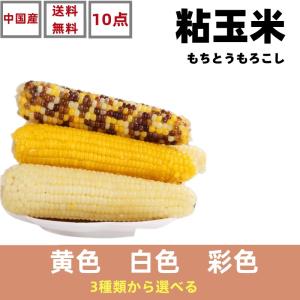 送料無料 選べる　10点セット　常温保存 糯玉米　白玉米 真空 黄玉米  彩玉米 黒玉米　苞米 玉米 粘玉米 トウモロコシ　とうもろこし　温めるだけ 調理済み　