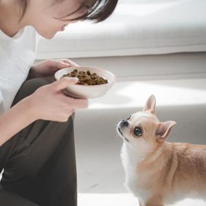 ヤムヤムヤム yum yum yum!チキン ...の詳細画像5