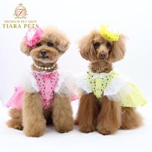 リュクスバーディ Luxe birdie ノーブルレースワンピース 小型犬 犬服