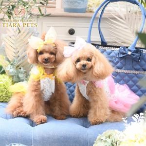 BIRDIE（バーディー） 犬の服 秋 冬 Luxe birdie ボヌールドレス