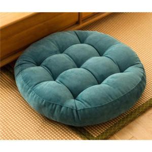 トゥルースリーパー（True Sleeper） 【正規品】新品 低反発座布団 45