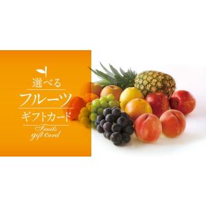 20-0118 選べるフルーツ 5,500 カー...の商品画像