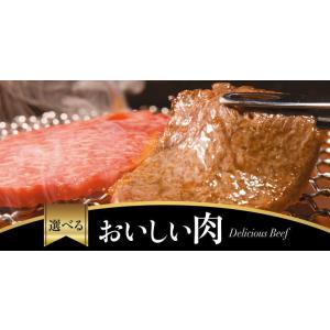 02-0018 選べるおいしい肉 5000 カー...の商品画像