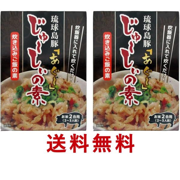 送料無料 琉球島豚 あぐーじゅーしぃの素 180g × 2個 沖縄ホーメル アグー ジューシー じゅ...