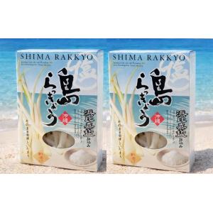2個セット送料無料 浜比嘉塩仕込み 沖縄 島らっきょう 酢漬け 60g×2個 ※ご出荷まで最長で1週間前後お時間を頂戴致します。