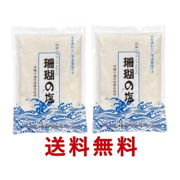 送料無料 垣乃花謹製【 珊瑚の塩 100g × 2袋 】珊瑚カルシウム入り・沖縄の海洋深層水使用。苦...