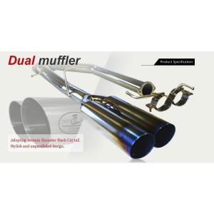 RH310送料無料 ラインハルト #02 100φデュアル ステンレス シルビア