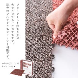 tidy公式店 人工芝マット 玄関マット 60...の詳細画像5