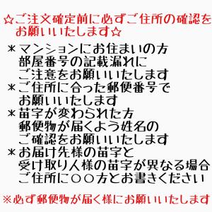 モンチッチSサイズ テニスウェア サンバイザー...の詳細画像4