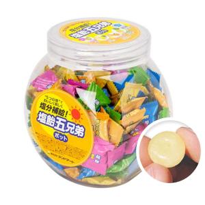 塩飴五兄弟 ポット ランドアート 熱中症 熱中症対策グッズ 600g