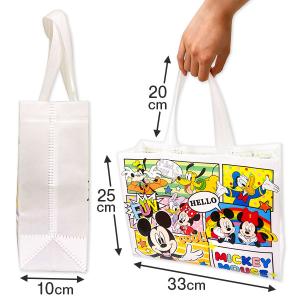 ディズニー 横型レッスンバッグ【不良対応不可】の詳細画像1