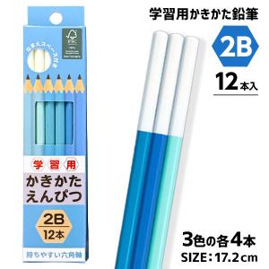 ディズニー ロケット鉛筆2本組【不良対応不可】 : こどもモール
