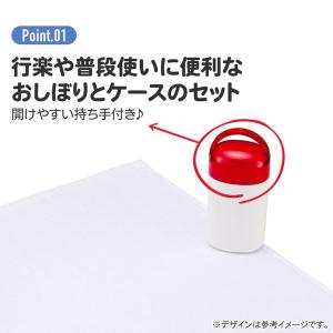 ポケモン 抗菌ケース付おしぼり【不良対応不可】の詳細画像1