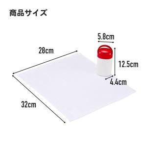 ポケモン 抗菌ケース付おしぼり【不良対応不可】の詳細画像3