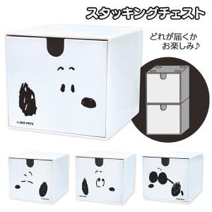 スヌーピー スタッキングチェスト【不良対応不可】
