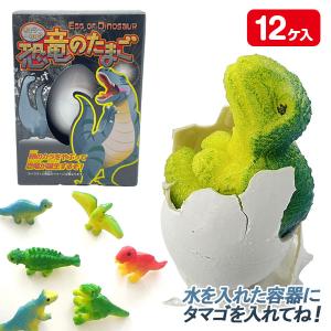 EVERNEW（エバニュー） 【メーカー直送品】 カップリング平均台 学校