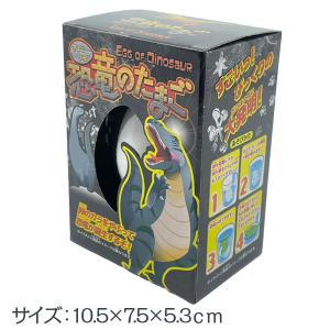恐竜のたまご【不良対応不可】の詳細画像2