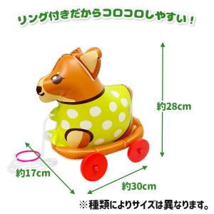 おさんぽ ワンちゃん【不良対応不可】の詳細画像1