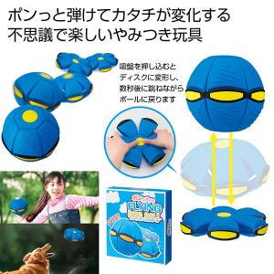 フライングディスクボール【不良対応不可】の詳細画像1