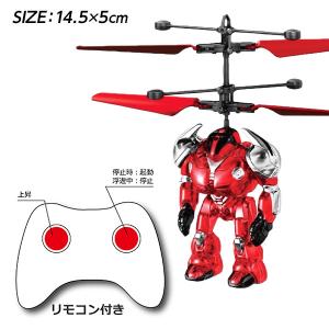 浮遊ロボット UP-DOWN MANの詳細画像1