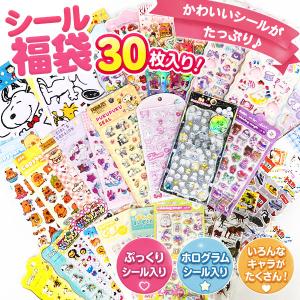 シール福袋 30【不良対応不可】