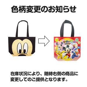 ディズニーミニトートバッグ付ギフト【不良対応不可】の詳細画像2