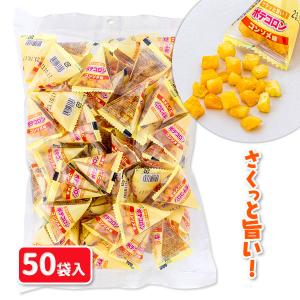 ポテコロン  コンソメ味【不良対応不可】