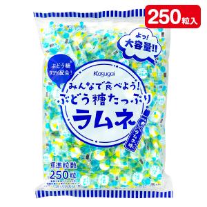 みんなで食べよう!ぶどう糖たっぷりラムネ【不良対...の商品画像