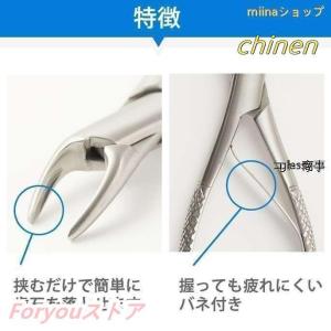 愛犬・愛猫用 歯石取り ペンチ 犬 歯石 デン...の詳細画像2