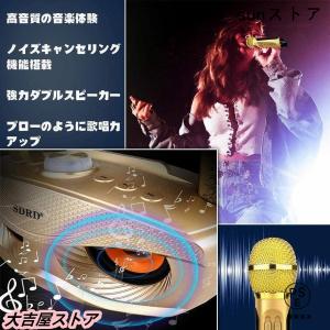 手持ちマイク2本セット Bluetooth カ...の詳細画像1