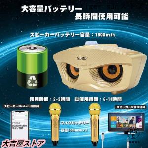 手持ちマイク2本セット Bluetooth カ...の詳細画像2