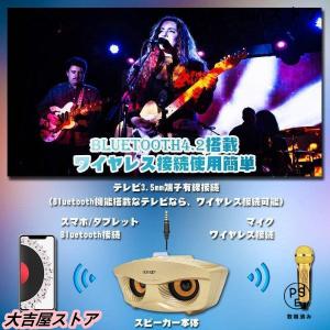 手持ちマイク2本セット Bluetooth カ...の詳細画像3