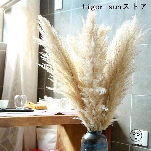 乾燥パンパスグラス観賞用高さ10本の茎27.5インチパンパスグラスは大きくふわふわ、大きなパンパスグ...