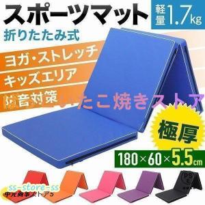 BODYMAKER（ボディメーカー） 折り畳みエクササイズトレーニングマット