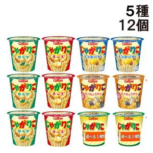 12個セット) じゃがりこ サラダ チーズ じゃがバター たらこバター